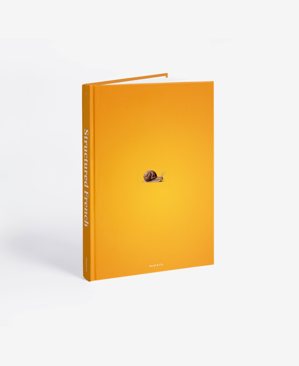 Book photo beginners one