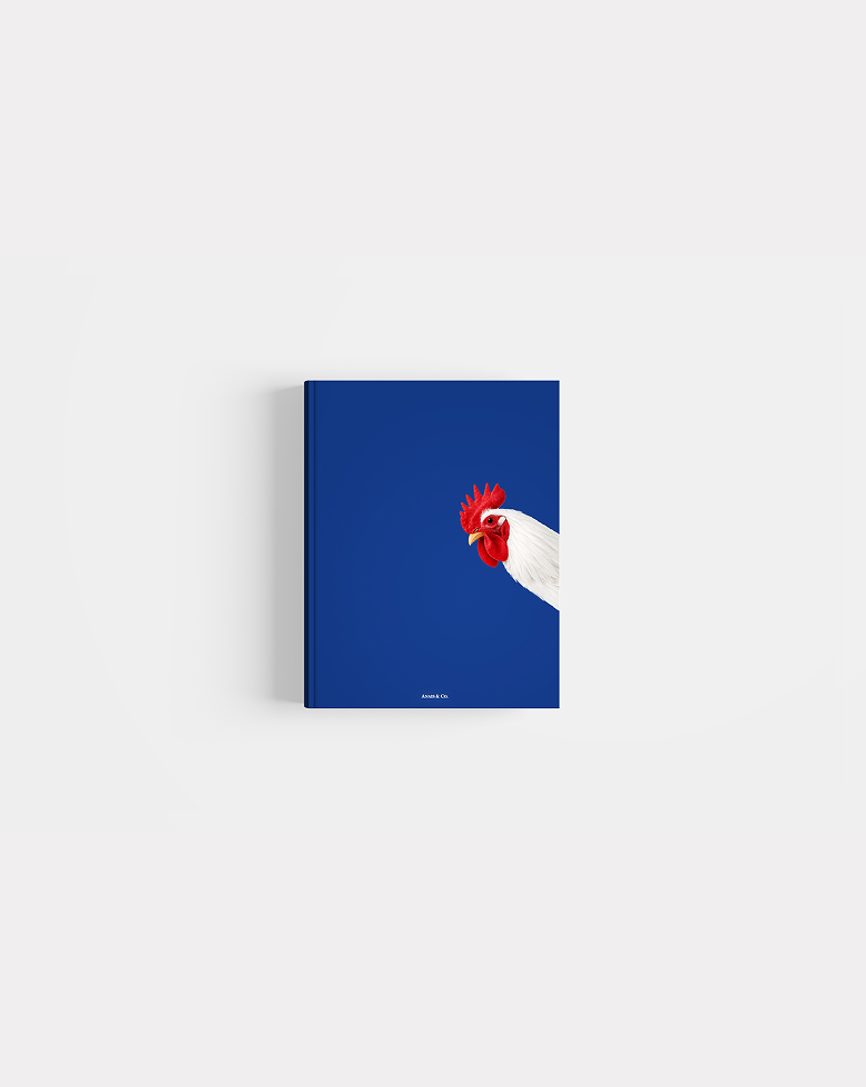 Photo of Structured book of French level two